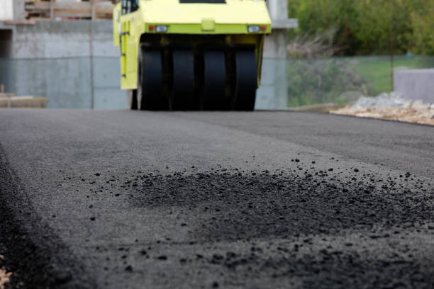 Best Commercial Driveway Pavers  in Wesley Chapel, FL