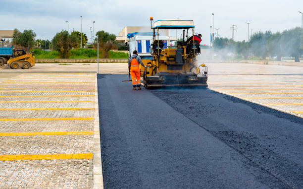 Professional Driveway Pavers in Wesley Chapel, FL