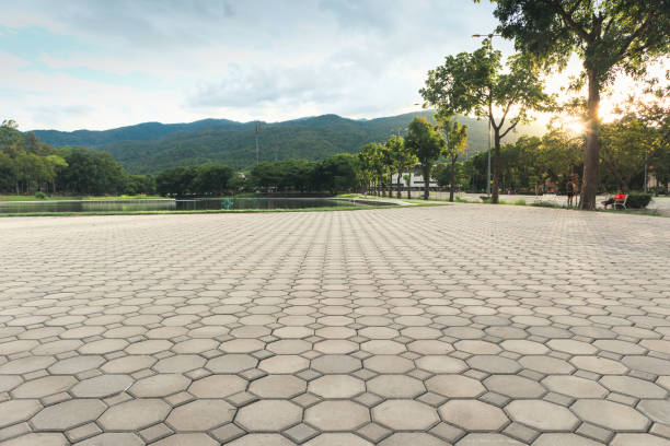 Best Driveway Paving Near Me  in Wesley Chapel, FL