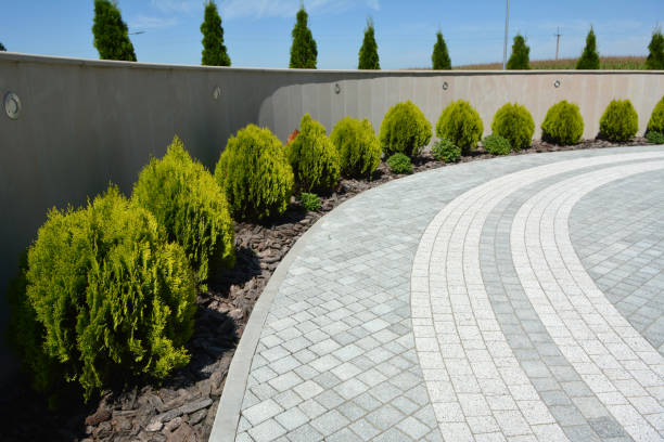 Best Residential Paver Driveway  in Wesley Chapel, FL