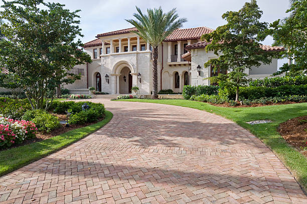 Best Driveway Paving Contractor  in Wesley Chapel, FL