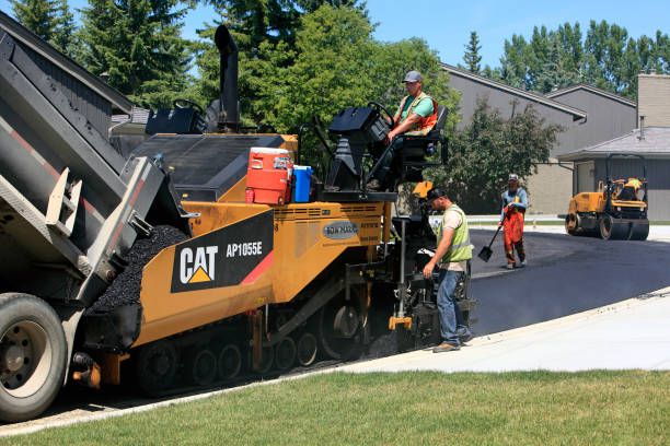 Best Cobblestone Driveway Pavers  in Wesley Chapel, FL
